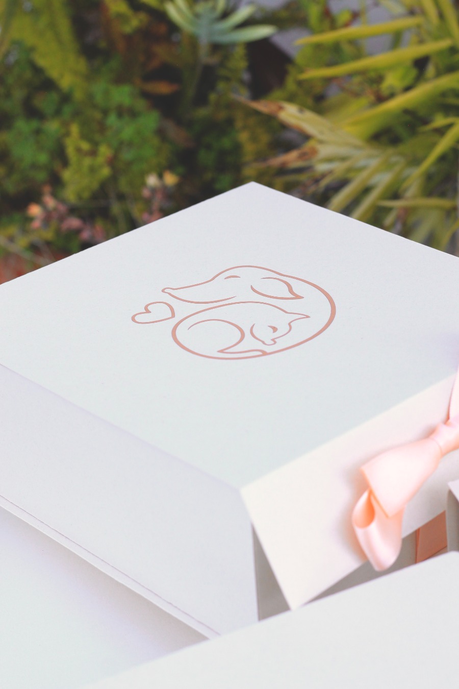 Kit Duelo Mascotas - Imagen 16