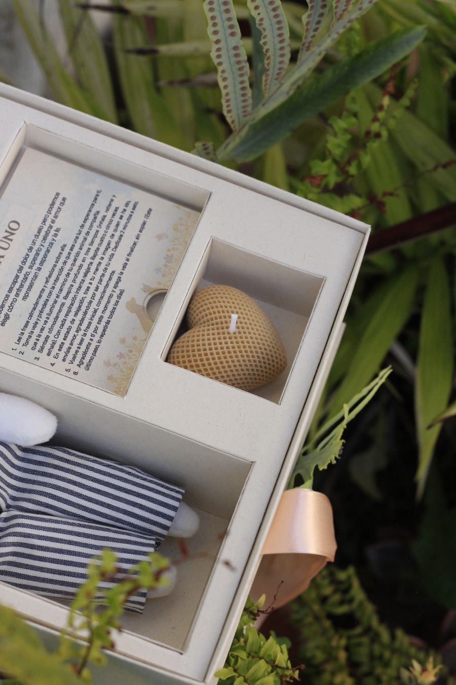 Kit Duelo Mascotas - Imagen 10