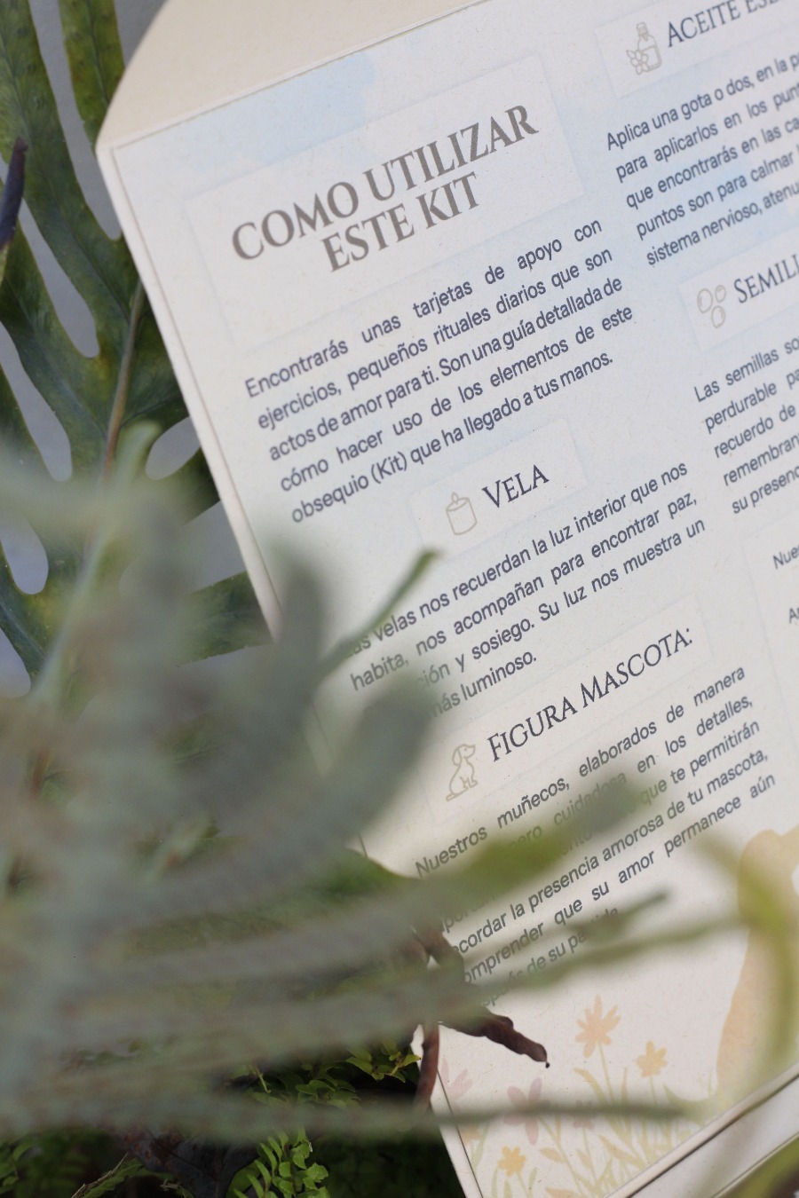 Kit Duelo Mascotas - Imagen 11